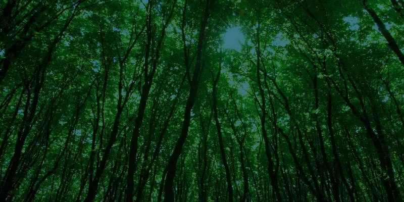 LeanIMT+: Efficient Merkle Tree for Membership and Non-Membership Proofs | PSE