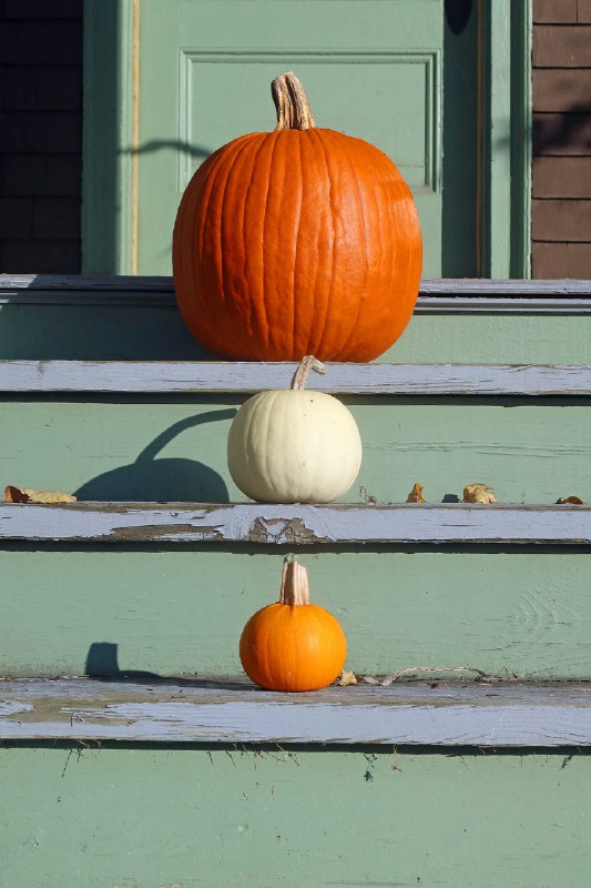 Data Availability Sampling（三）：Celestia, Avail and EigenDA