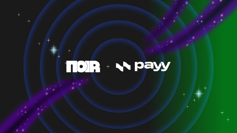 Just write “if”: Why Payy left Halo2 for Noir
