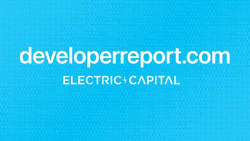 Developer Report