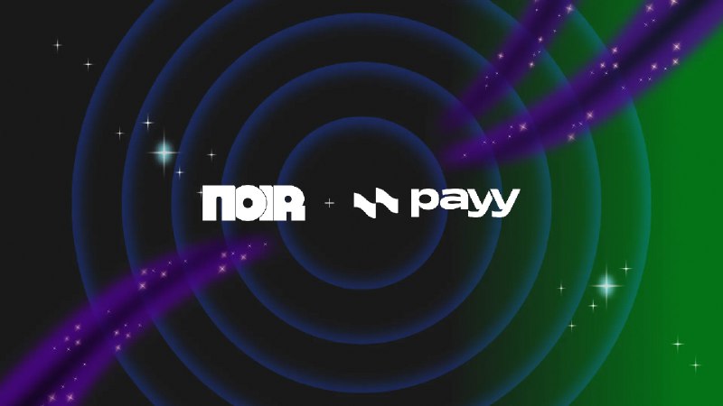 Just write “if”: Why Payy left Halo2 for Noir